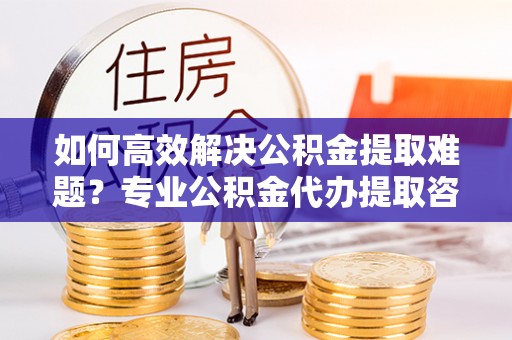 金山屯如何高效解决公积金提取难题？专业公积金代办提取咨询服务来助力
