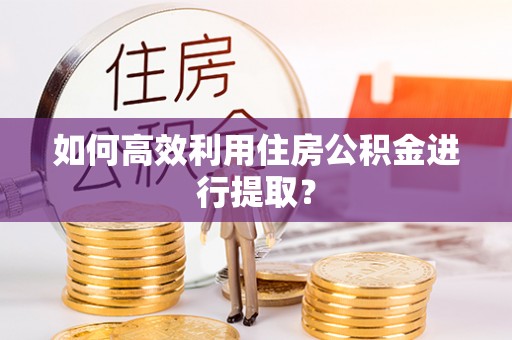 金山屯如何高效利用住房公积金进行提取？