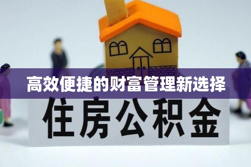 金山屯高效便捷的财富管理新选择