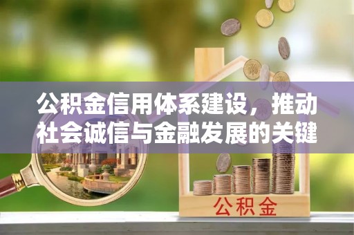 金山屯公积金信用体系建设，推动社会诚信与金融发展的关键桥梁