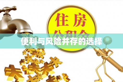 金山屯便利与风险并存的选择
