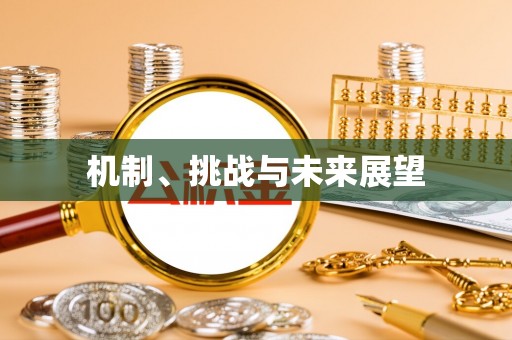 金山屯机制、挑战与未来展望
