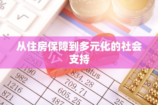金山屯从住房保障到多元化的社会支持