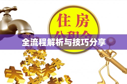 金山屯全流程解析与技巧分享
