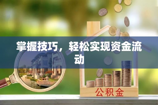 金山屯掌握技巧，轻松实现资金流动