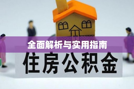 金山屯全面解析与实用指南