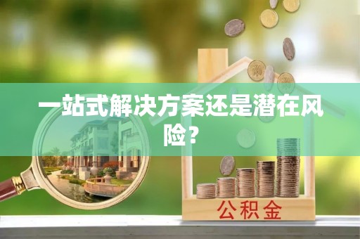 金山屯一站式解决方案还是潜在风险？