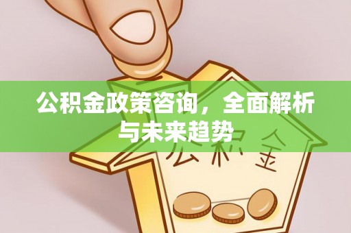 金山屯公积金政策咨询，全面解析与未来趋势