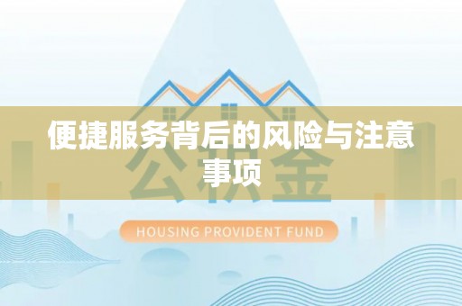 金山屯便捷服务背后的风险与注意事项